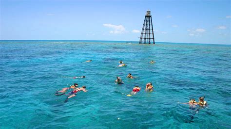 reef snorkeling key west fish